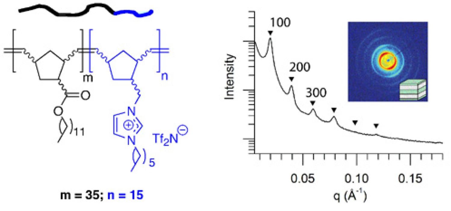 Chemical structure and phase-separated ordered morphology