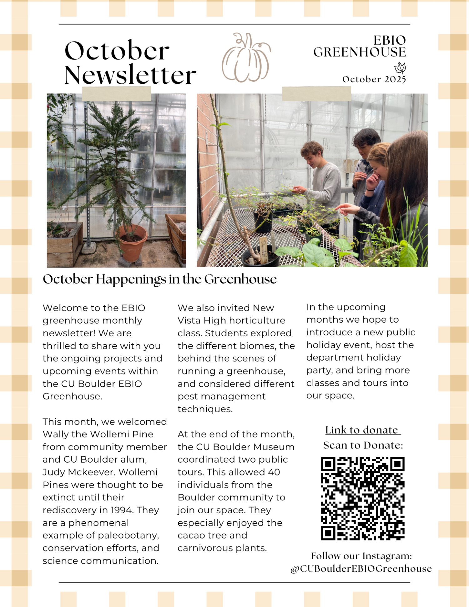 October 2025 Newsletter with photos of a tour and Wollemi Pine