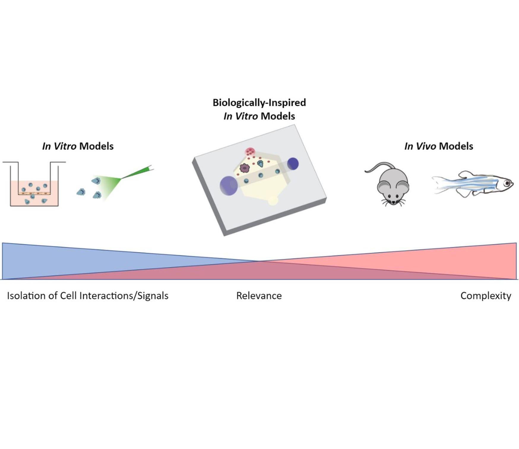 Microfluidic Relevance
