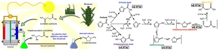 biomass obtained compounds processing schemes