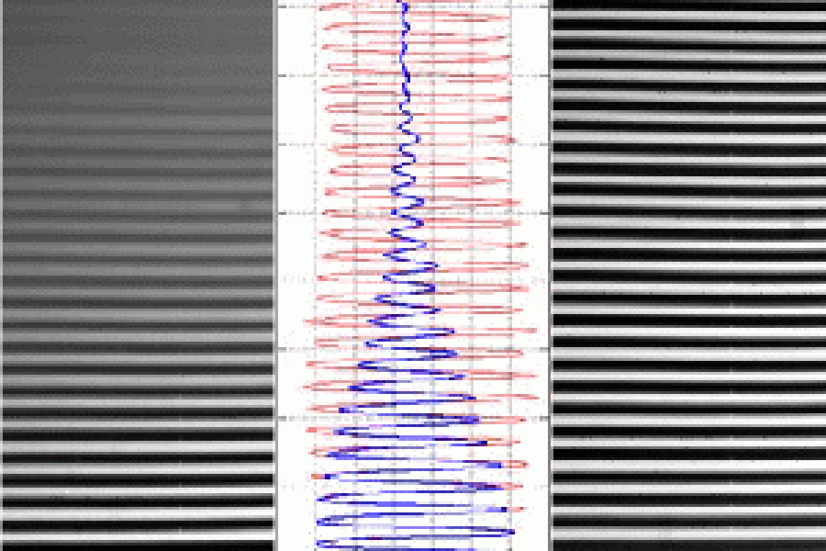 optical image