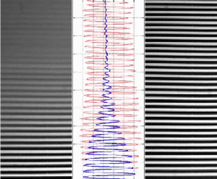 Optical image