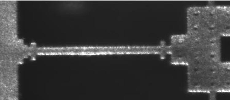 focus image of the test object