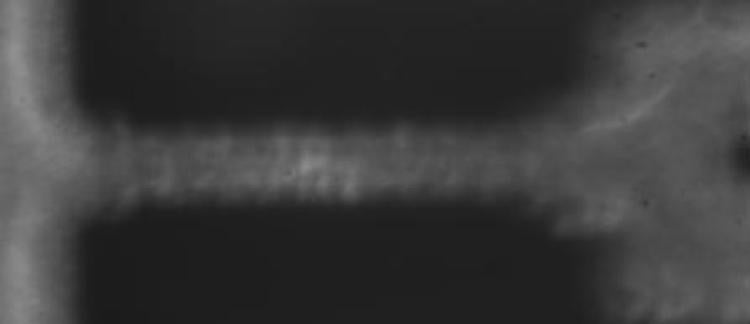 image taken with metallurgical microscope after modification
