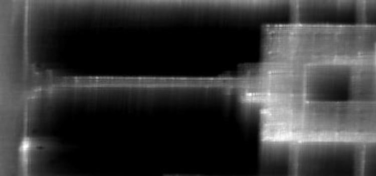 image taken using the cubic phase mask modified microscope