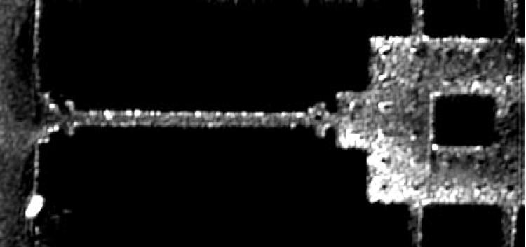 cubic phase mask modified microscope images 2