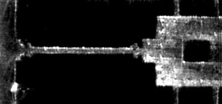 cubic phase mask modified microscope images 3