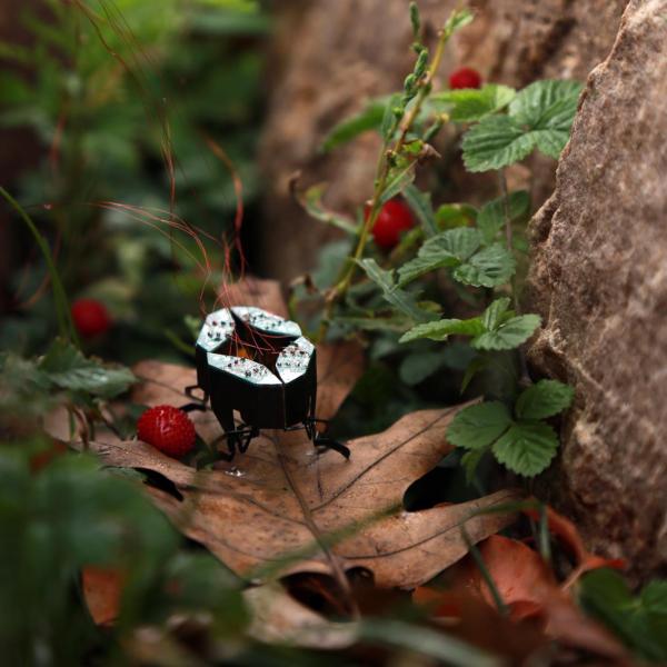 Berry