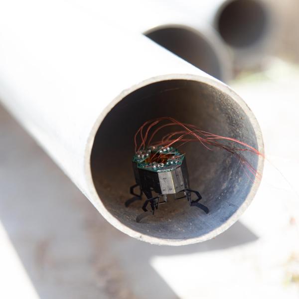 clari pipe