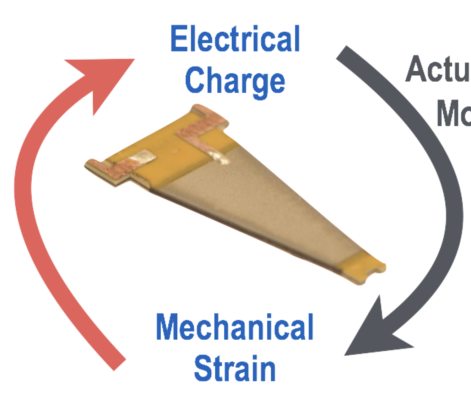 A sensor actuator with arrow pointing from electrical charge to mechanical strain and back again.