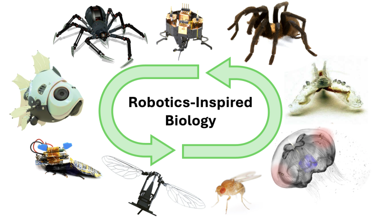 Robotics Inspired Biology