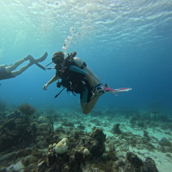 Marine field work
