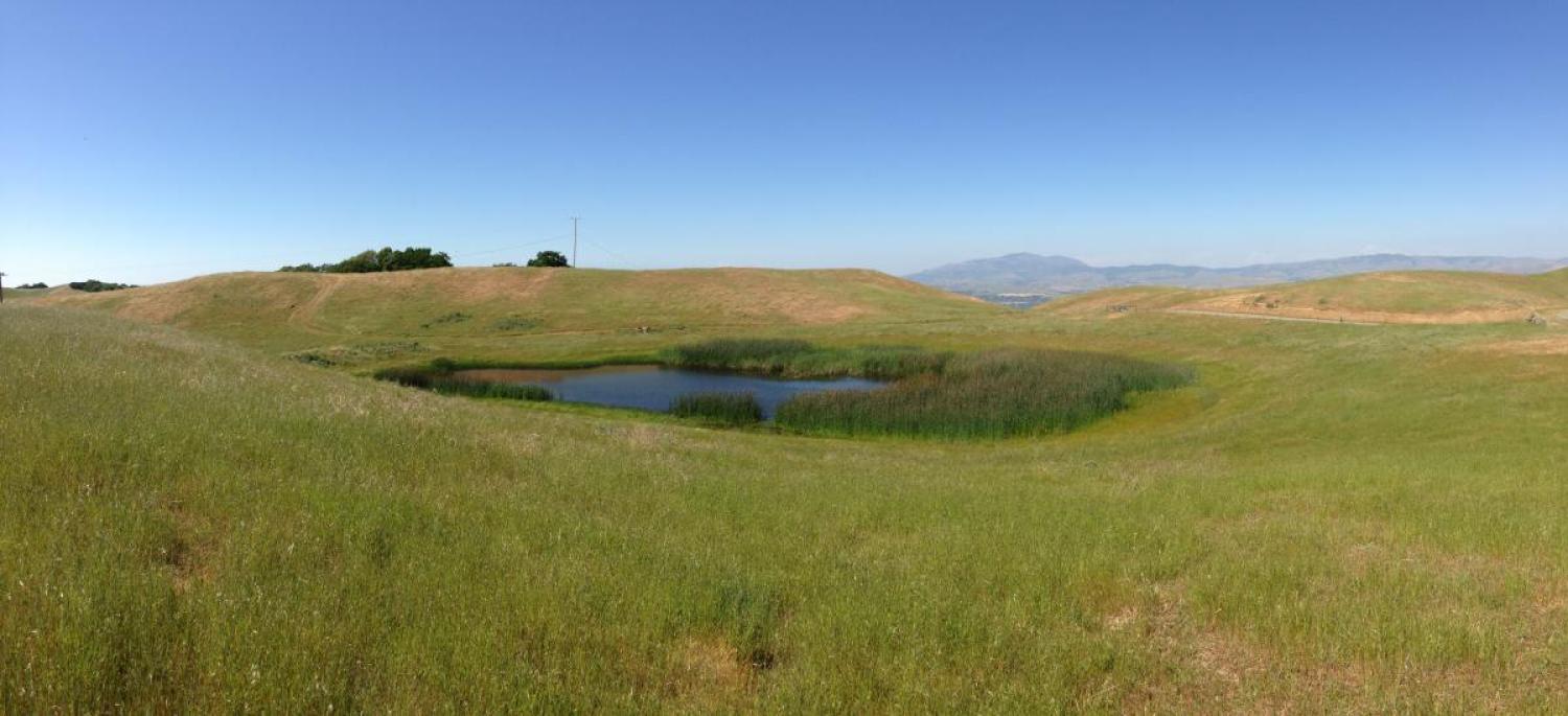 freshwater pond, biological invasion, Johnson Lab