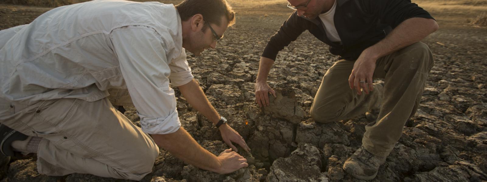 climate change, infectious disease, parasites, Johnson Lab
