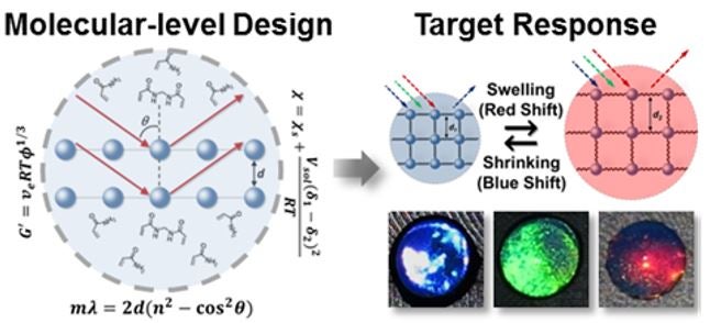 A molecular level design surrounded by organic material and with angle theta causes a target responsive, either swelling (a red shift) or shrinking (blue shift)