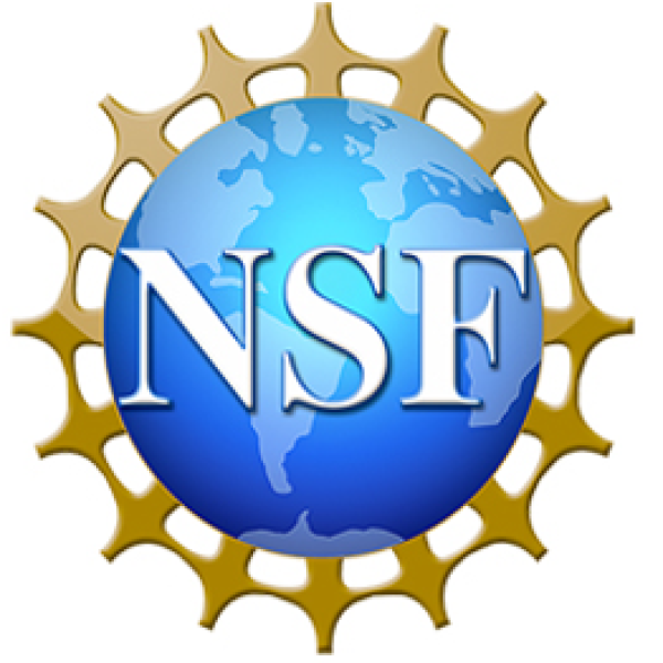 National Science Foundation Logo
