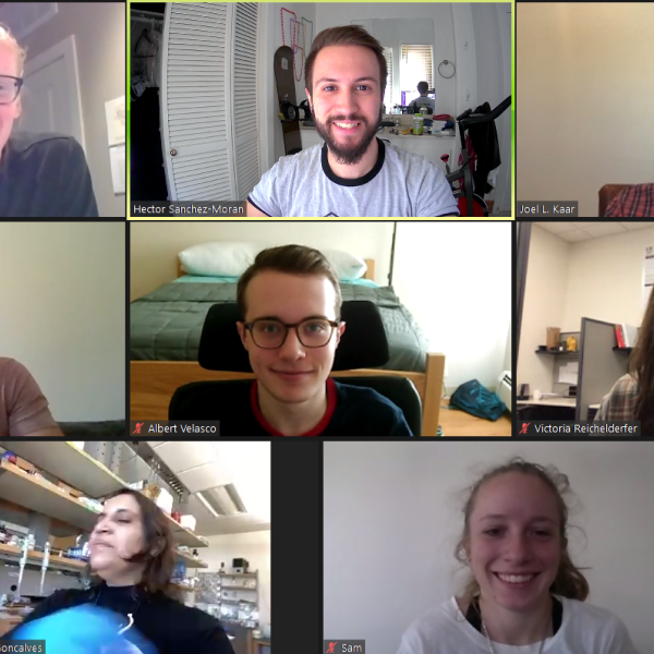 Zoom meeting at the Kaar lab (Fall 2020)