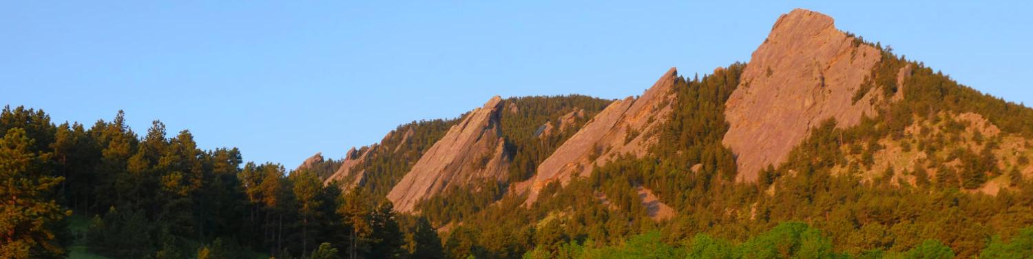 Front page image