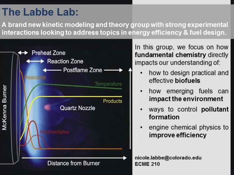 Labbe Lab research