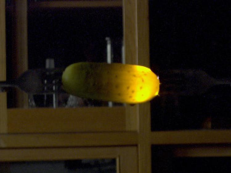 Pickle, lit up