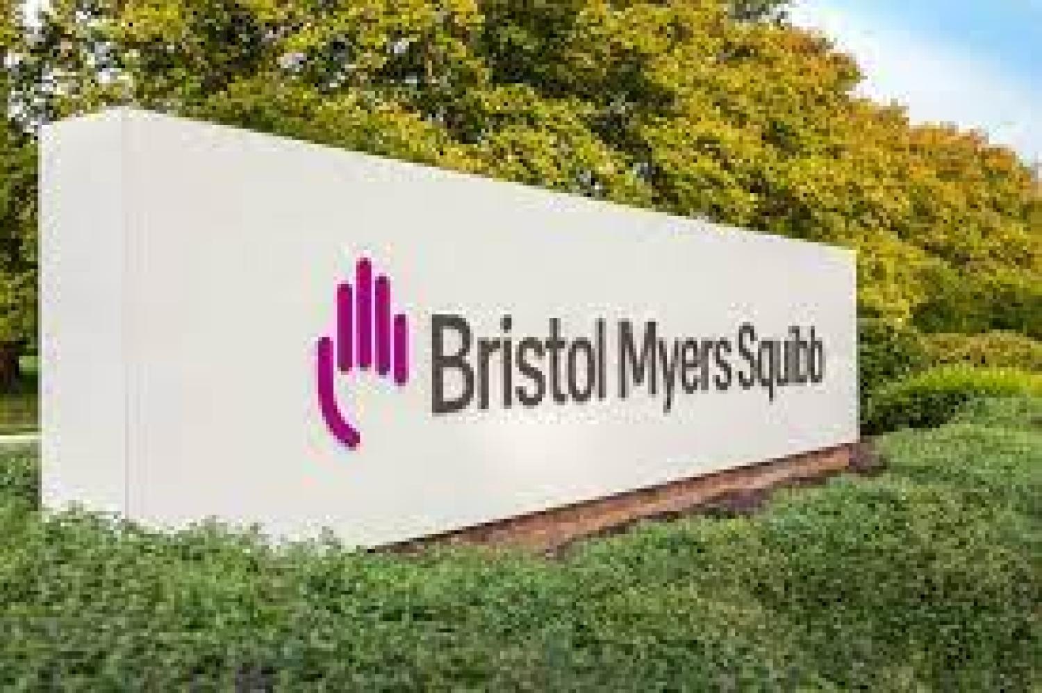 BMS Logo