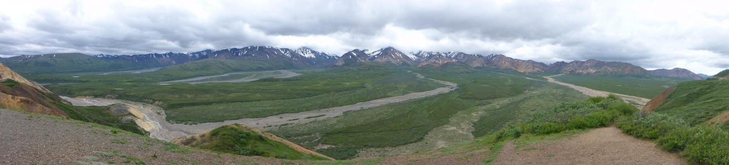 Rivers in Denali National Park