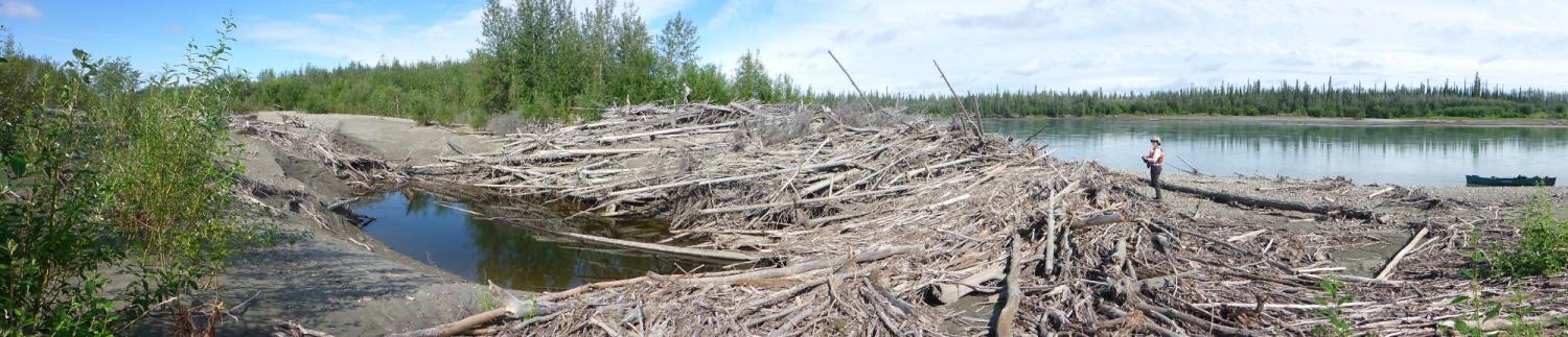 Wood on the Chandalar River, Alaska