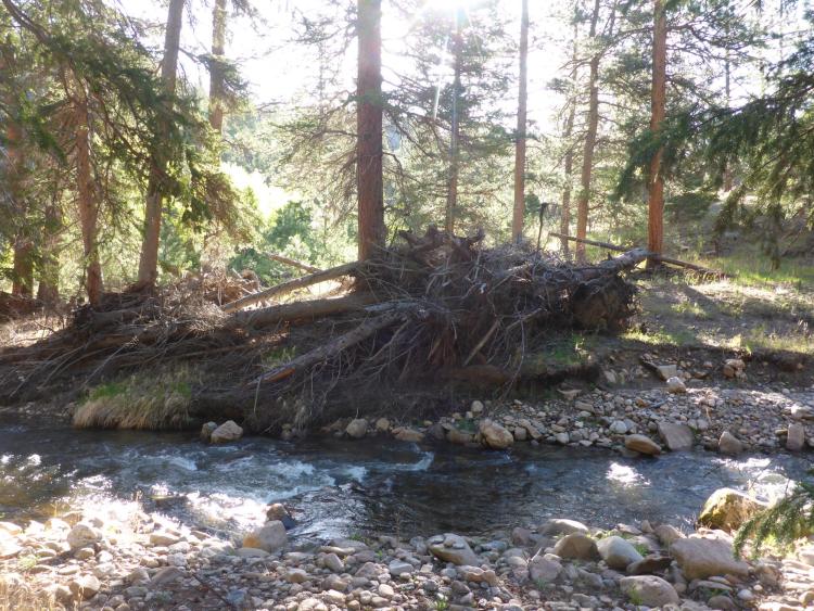 large wood West Creek
