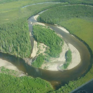 Wood on Preacher Creek, AK