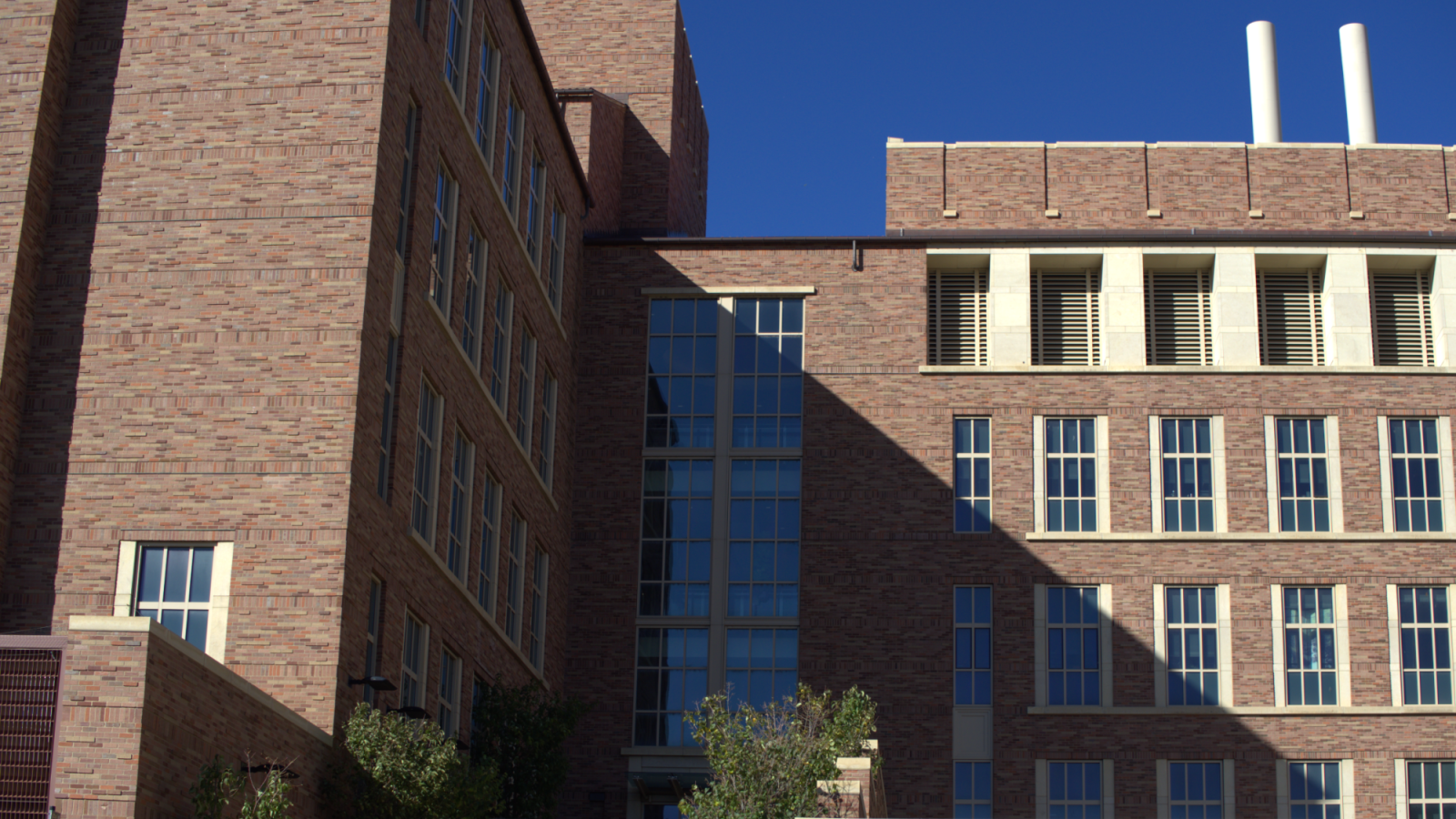 East side of the Jennie Smoly Caruthers Biotech Building