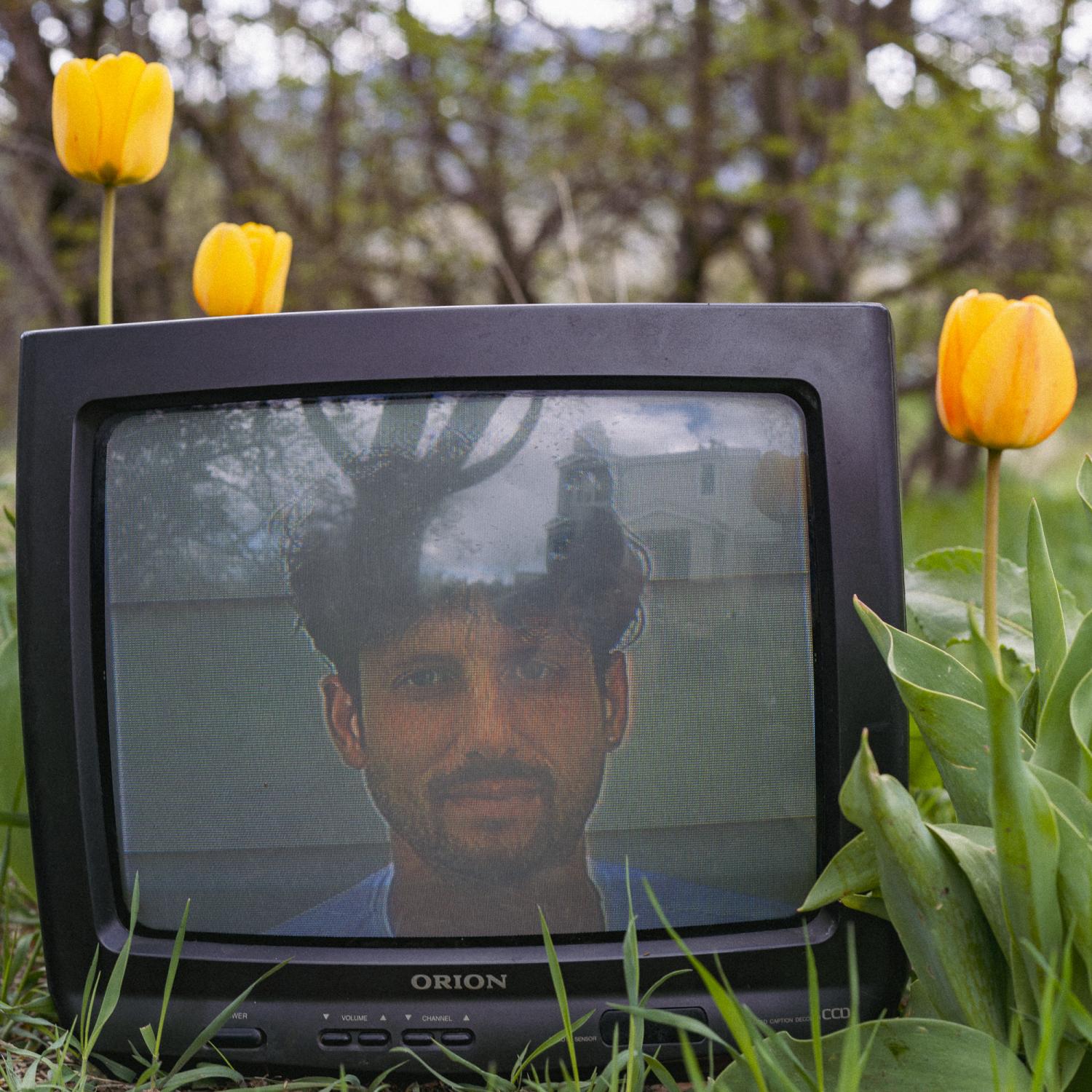 Andy DiLallo