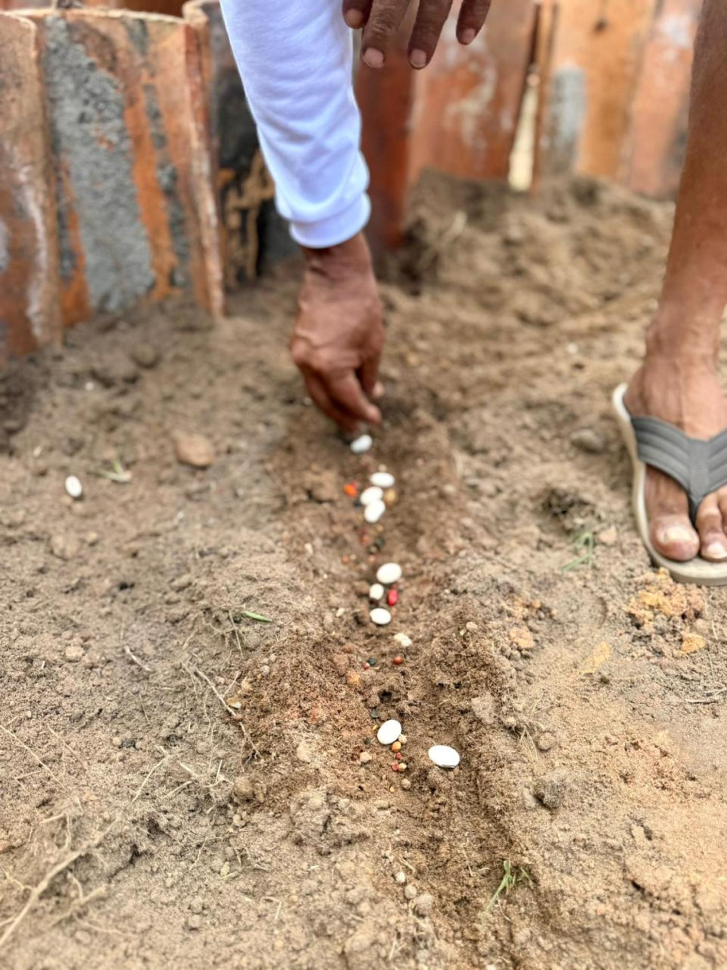 May good seeds be planted. PHOTO: Lia Domingues/RSX