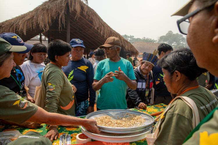 PHOTO: Lia Rezende Domingues