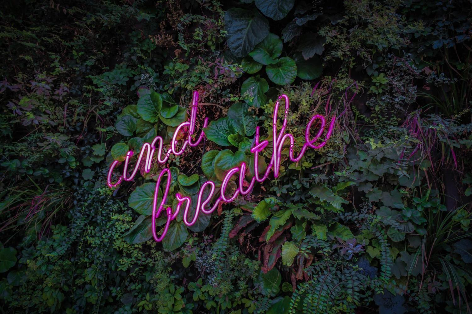 neon sign that says and breathe