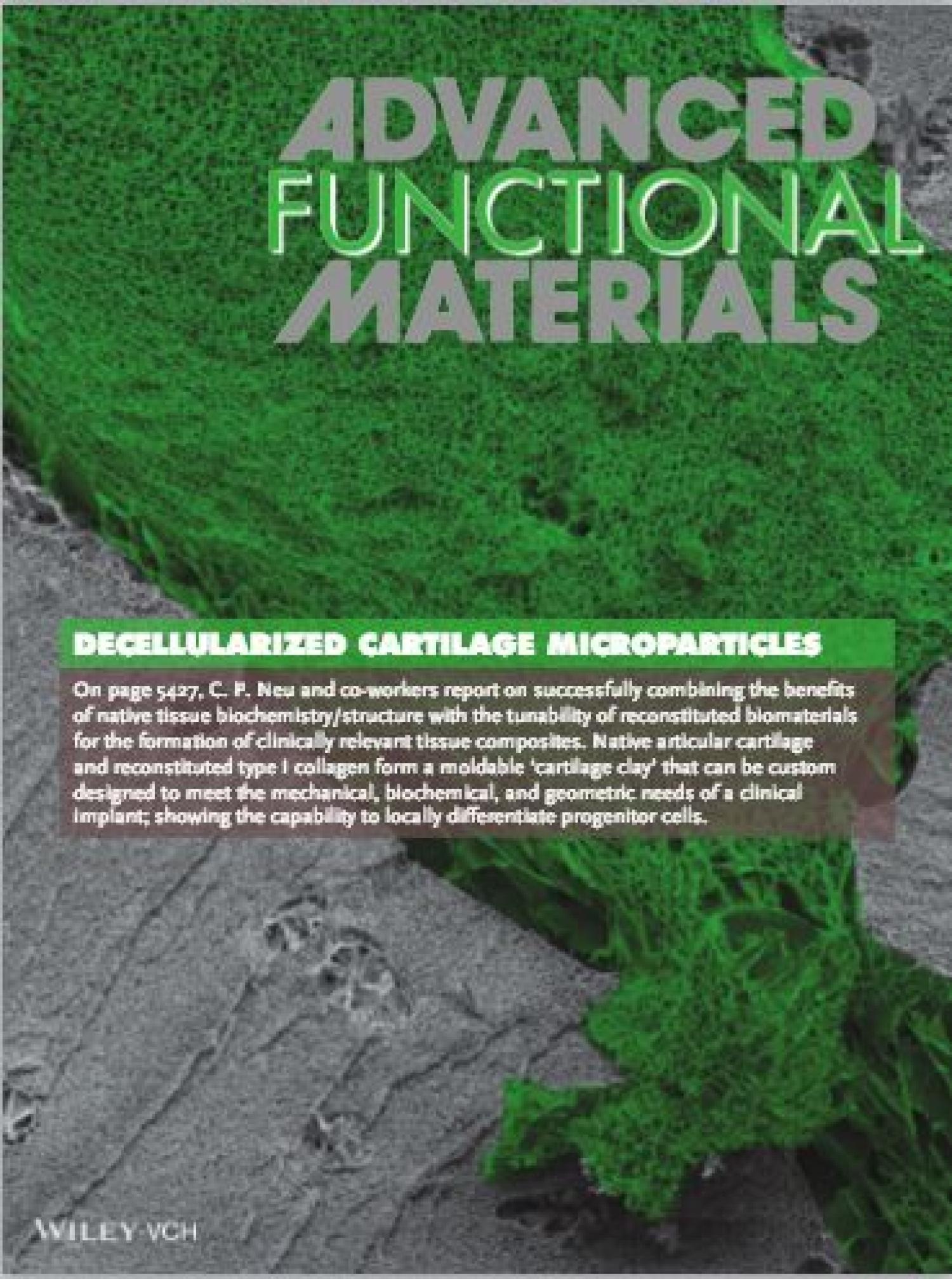 Advanced Functional Materials cover: Decelluarized Cartilage Microparticles