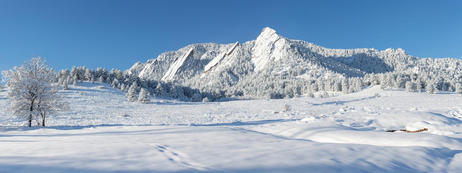 Snow