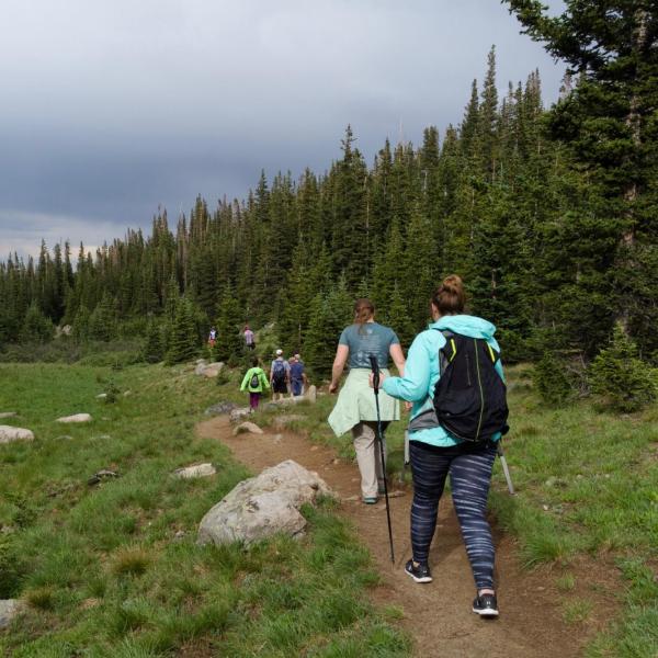 The lab out for a hike in the mountains. 