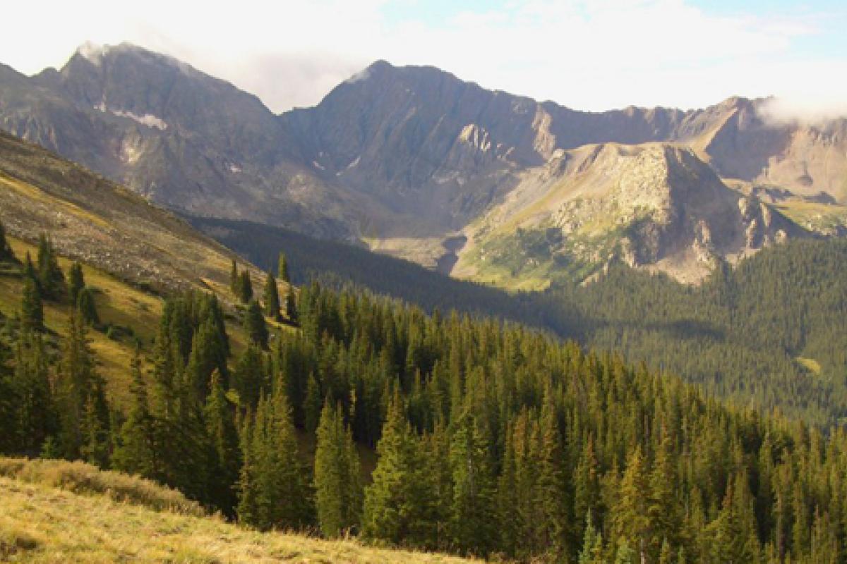 View of Mt. Huron