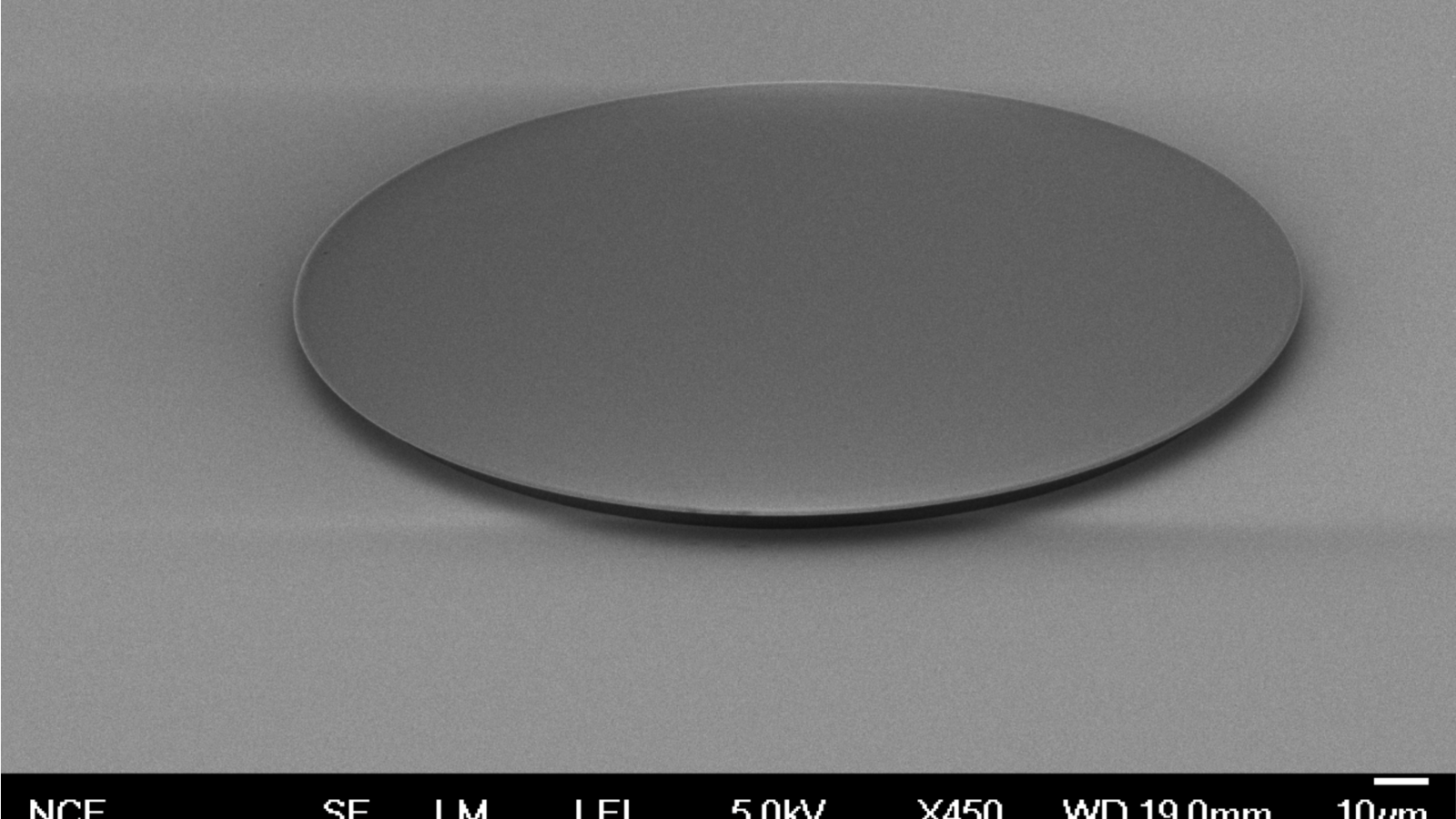 Disk resonator