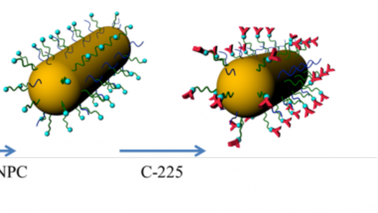 nano-EGFR