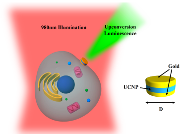 Plasmon enhanced upconversion