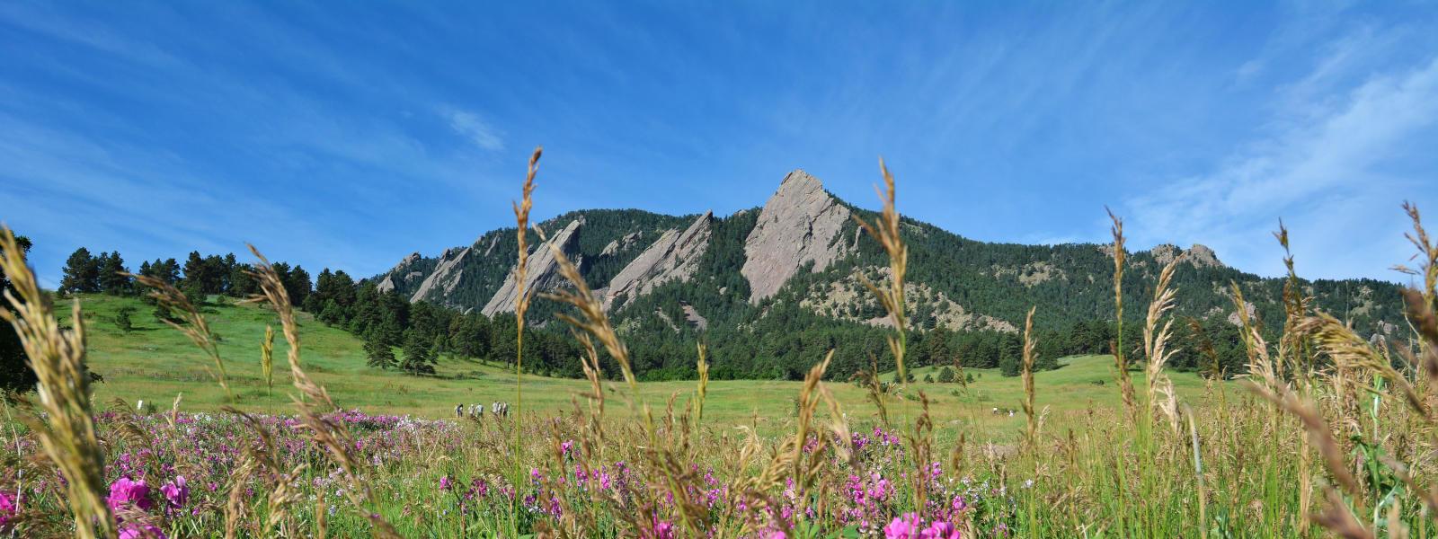 Flatirons in spring from Chautauqua Park