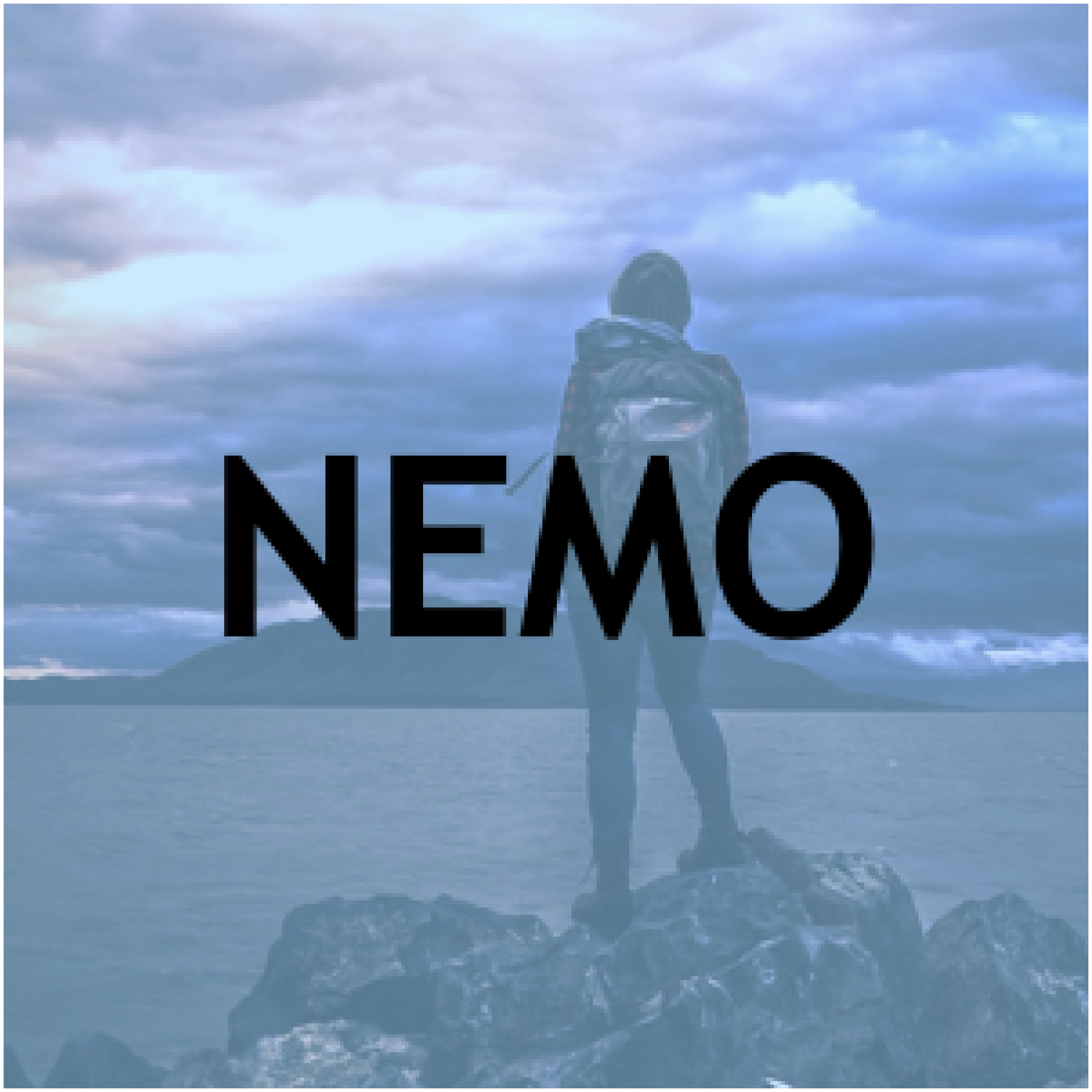 NEMO Logo