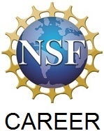 NSF Career logo