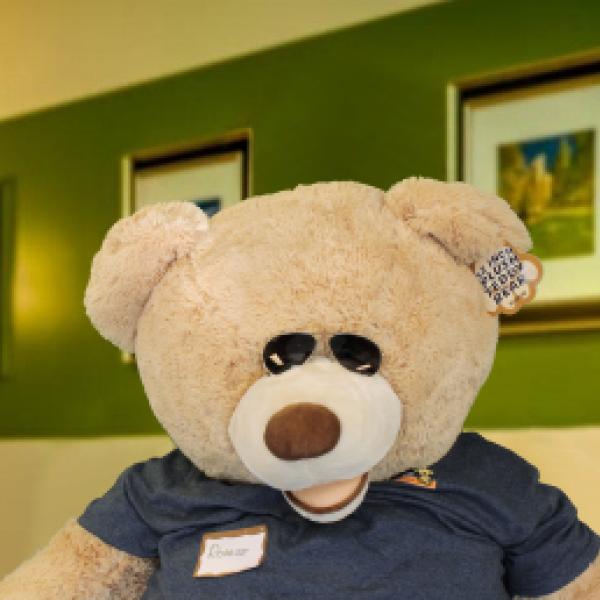 A teddy bear