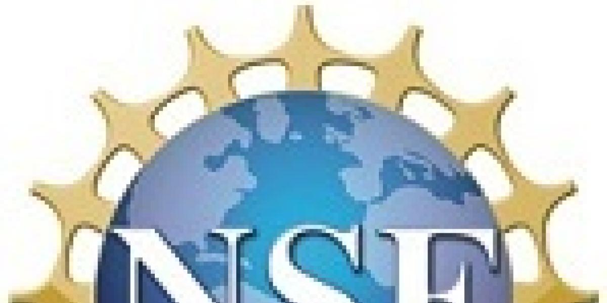 the NSF career logo