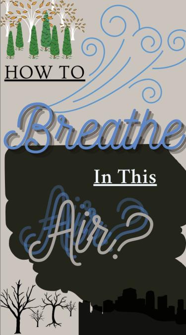 A grey Zine cover that states: “How to Breathe In this Air?” With clip art of trees, wind, pollution from a cityscape, and dead trees.