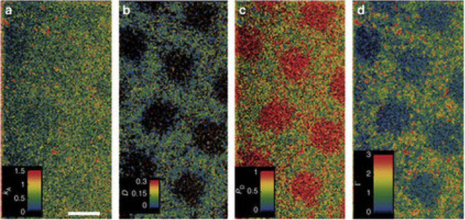 A MAPT image of a photopatterned surface