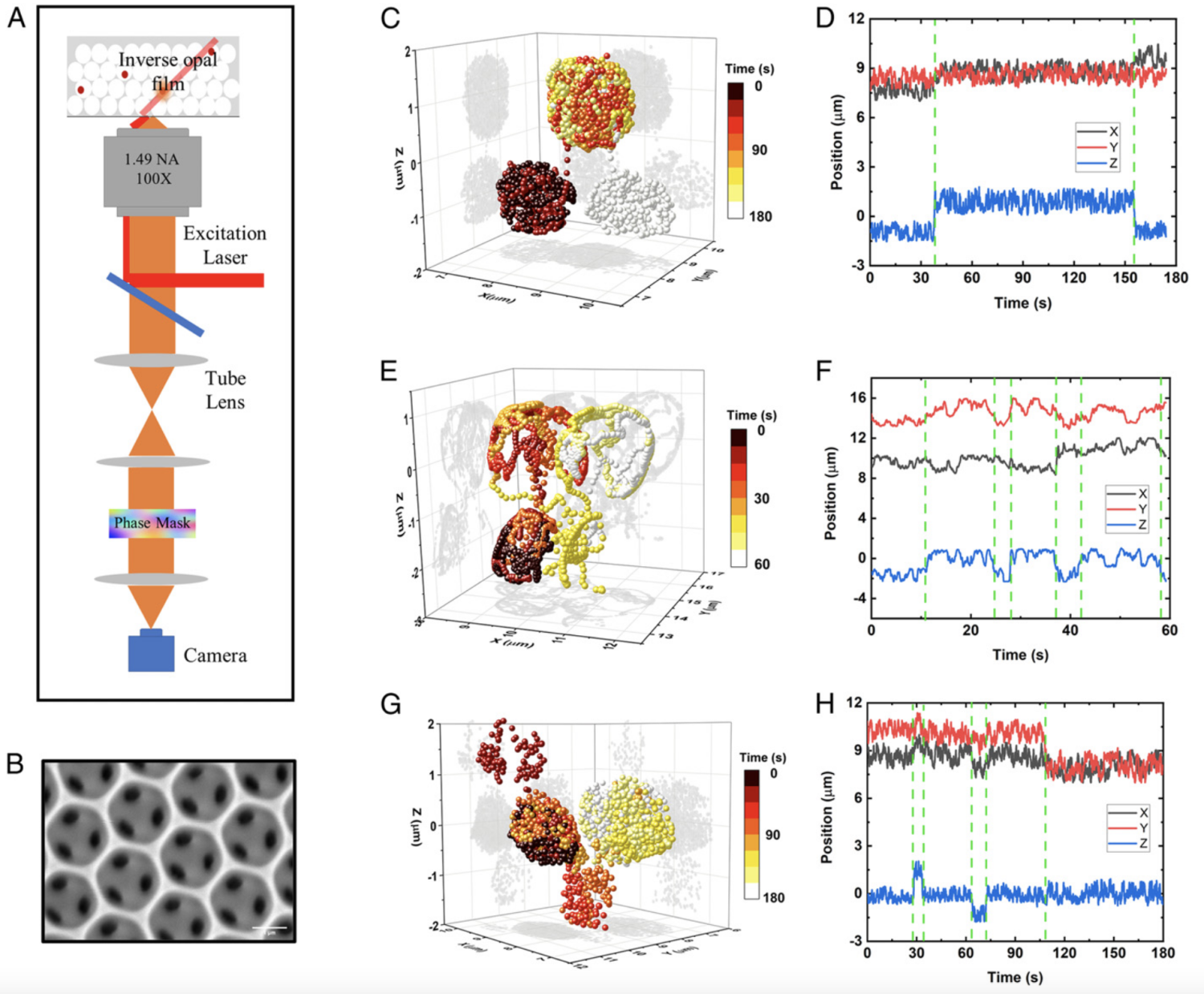 Mechanisms of transport enhancement for self-propelled nanoswimmers in a porous matrix