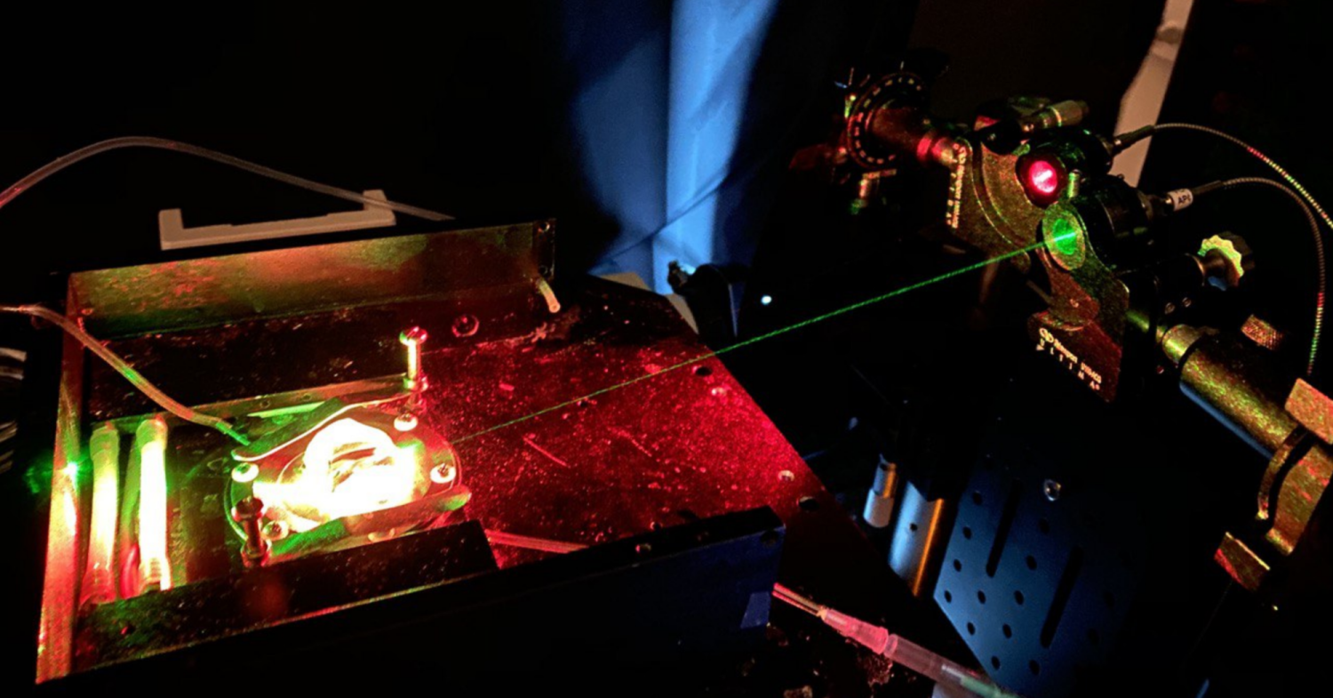 Single molecule imaging